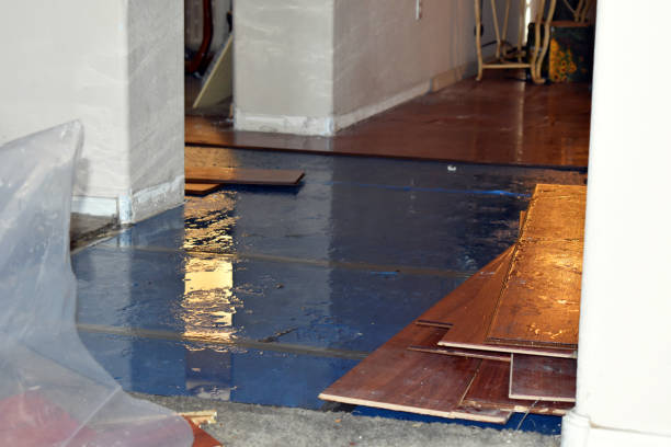 Professional Basement Flood Cleanup technician working in Lockport, NY